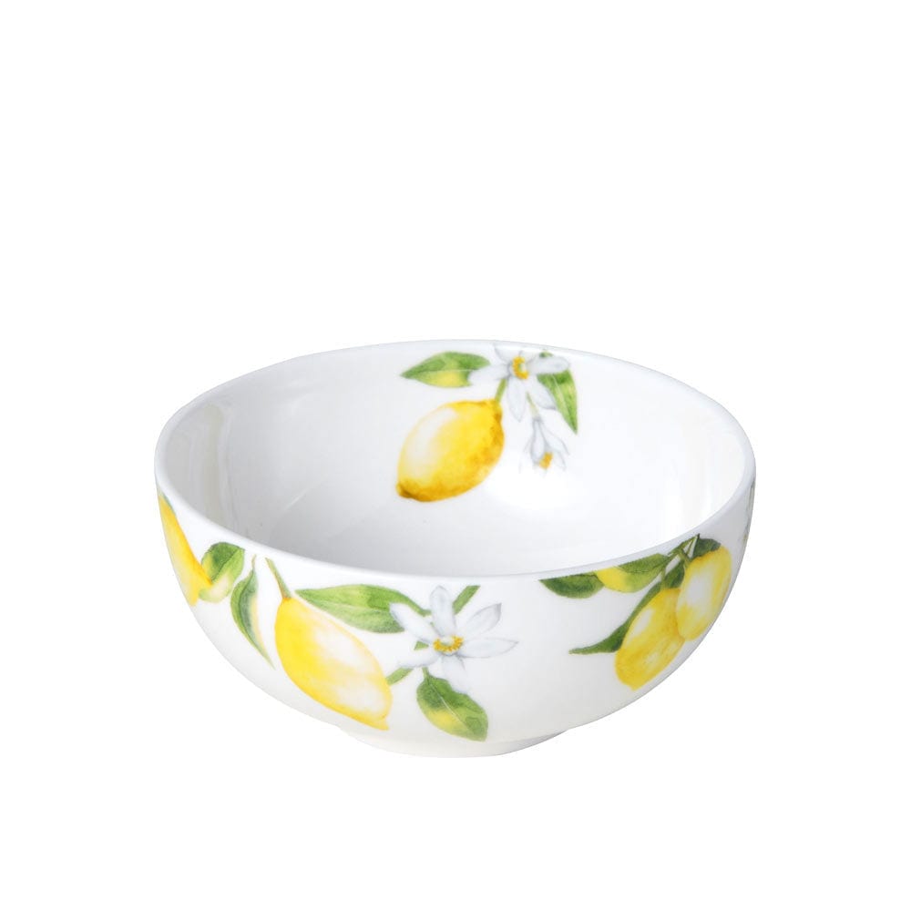 Lemons 40 Piece Dinnerware Set, Service for 8