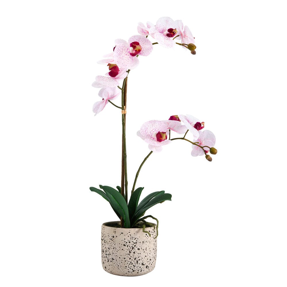 21 Inch Faux Orchid Flower in Rustic Pot, White and Pink