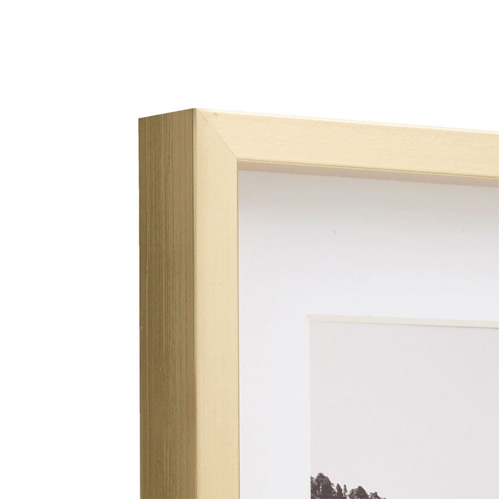 Gold 12 x 14 Gallery Frame, Matted to 8 x 10
